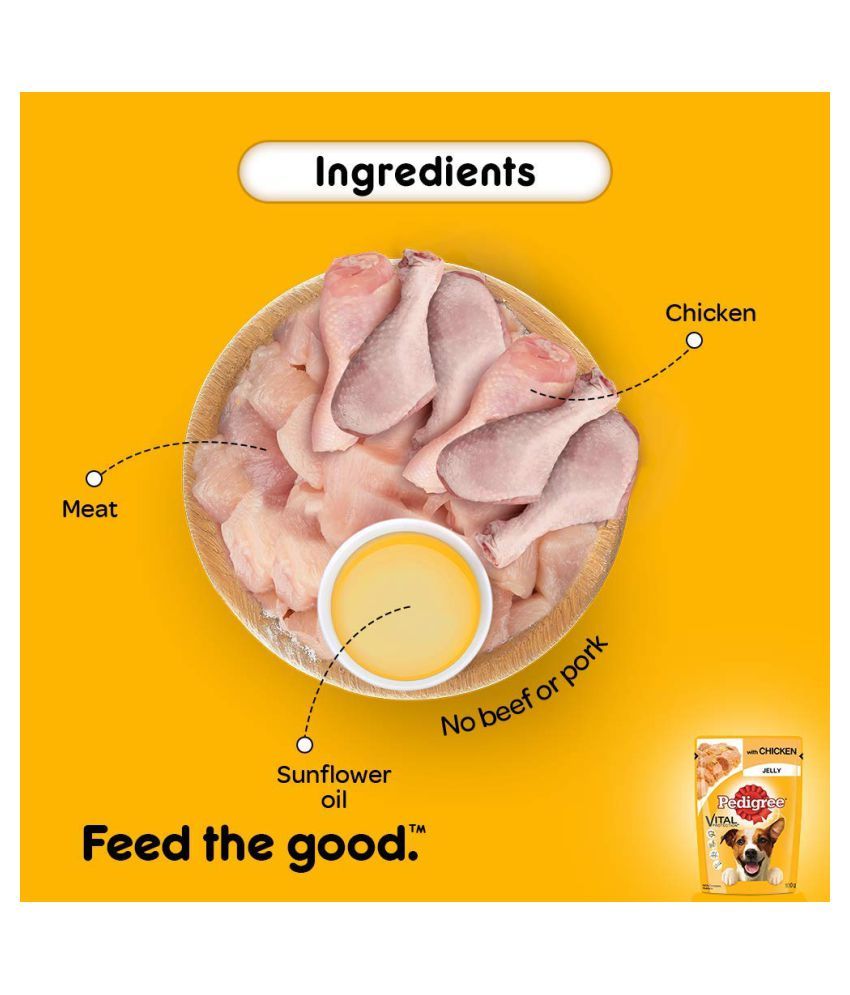 Pedigree Adult Chicken in Jelly Wet Dog Food (12 Pouches x 100gms) Buy Pedigree Adult Chicken