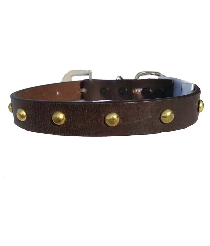     			Fits Dog Neck Size Medium -16 TO 19 Inches for Adjustable Dog belt for Dog collar