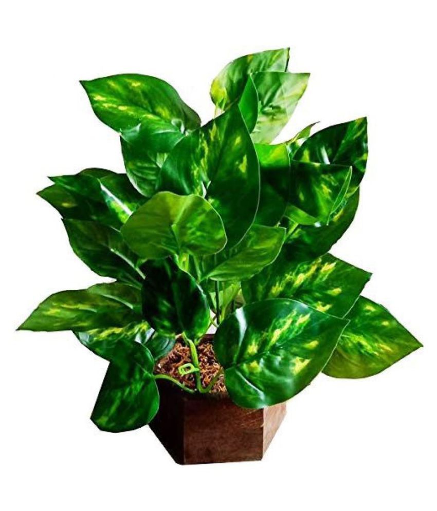 Green plant indoor Artificial Money Plants Green Bonsai Plastic Pack