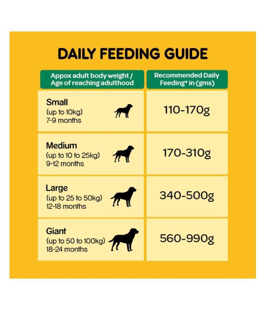 Pedigree Adult 100% Vegetarian Dry Dog Food, 1.2 Kg: Buy Pedigree Adult ...