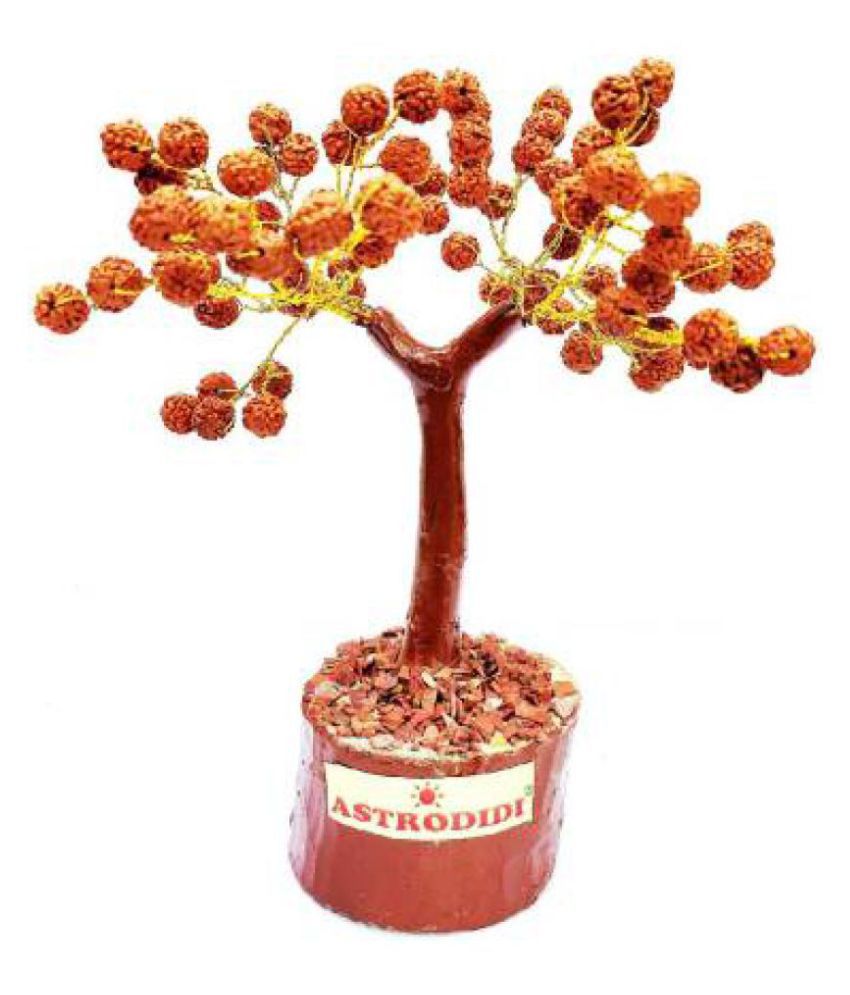     			Astrodidi Rudraksha Tree For Vastu And Home Decorative
