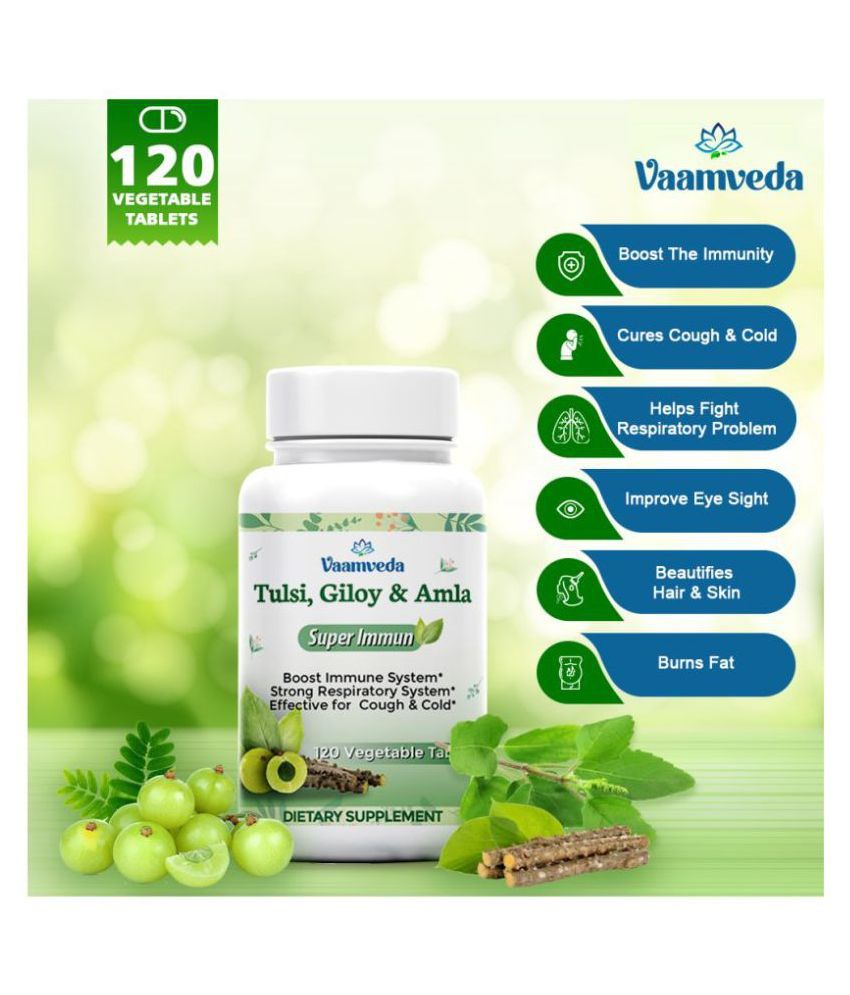 Buy Vaamveda Tulsi Giloy Ayush Kwath Immunity Booster Tablet 120  Pack  Of 1 Online at Best Price in India - Snapdeal