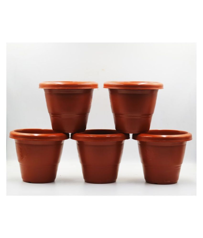 PAUDHAWALA Both Flower Pot Buy PAUDHAWALA Both Flower Pot Online at