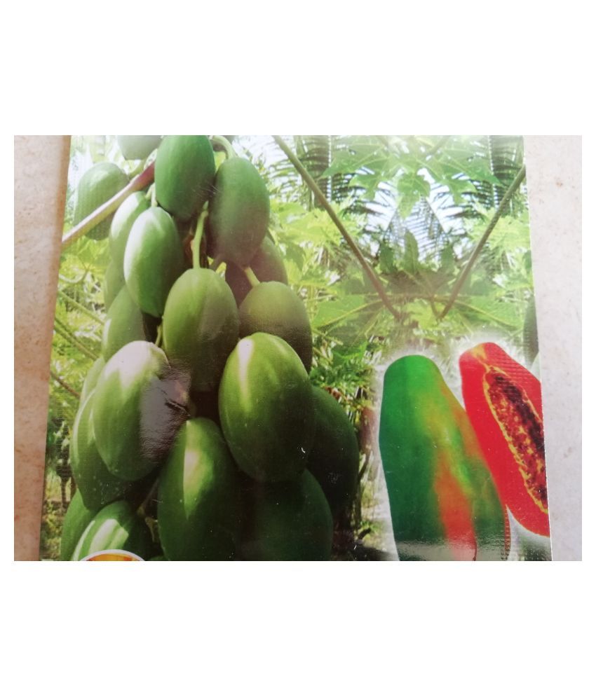 beda honeydew and melon
