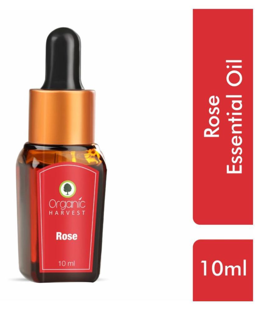     			Organic Harvest - Rose Essential Oil 10 mL (Pack of 1)