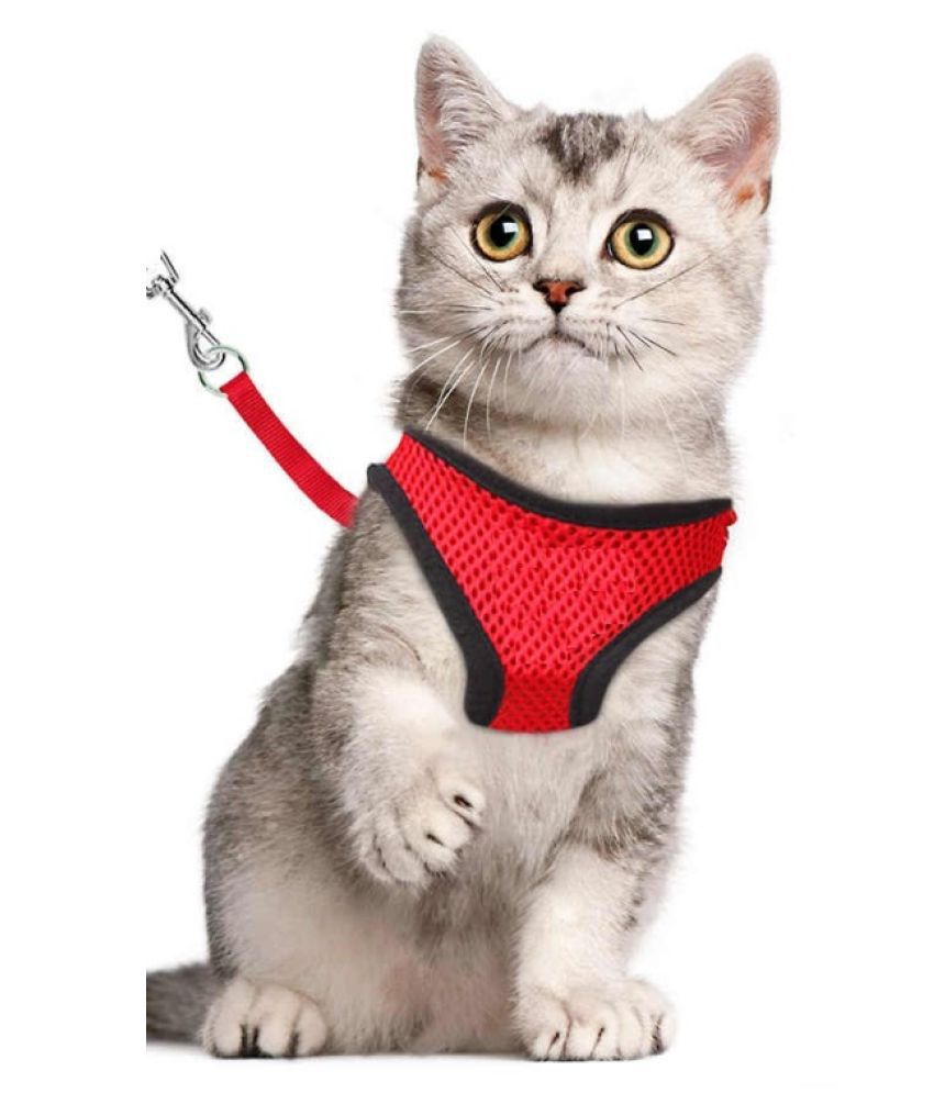 Cat Body Vest Harness with Lease Size Medium (Neck Size :32 ...