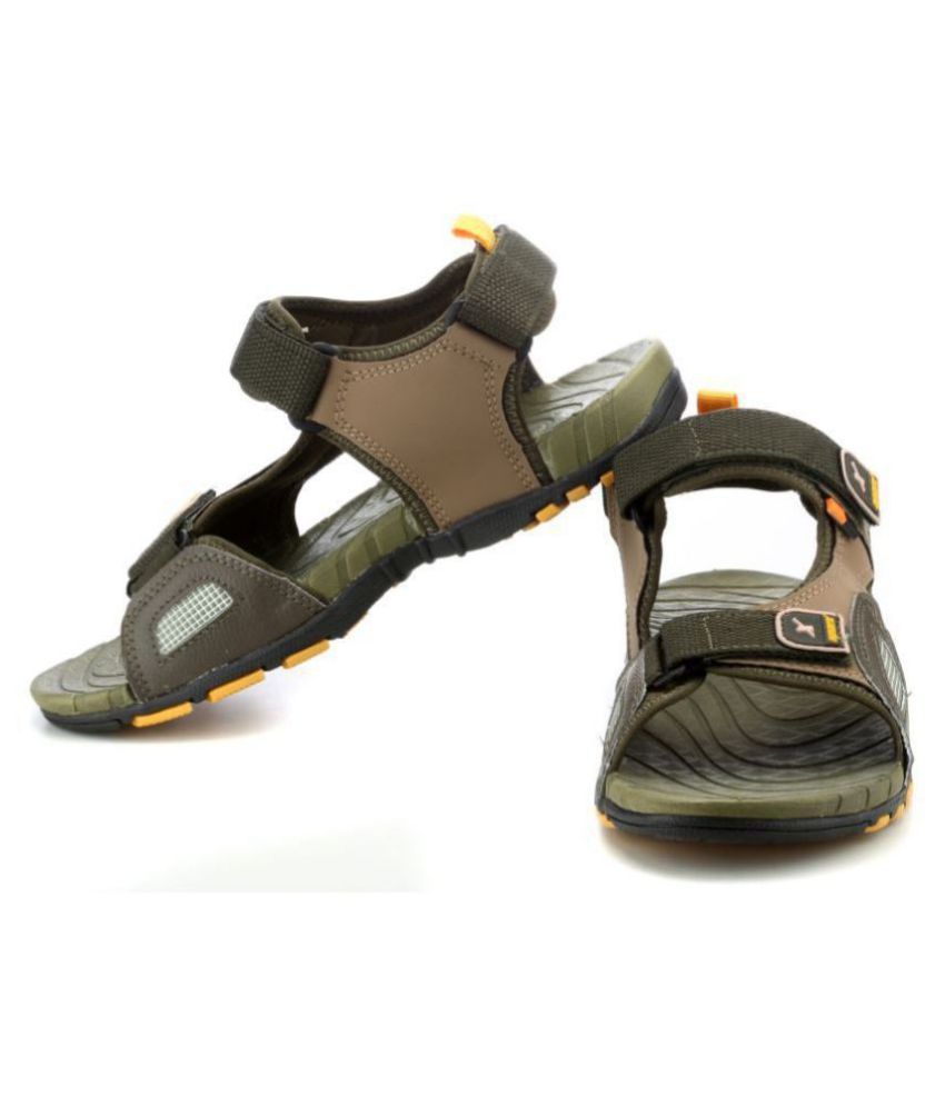 sparx olive