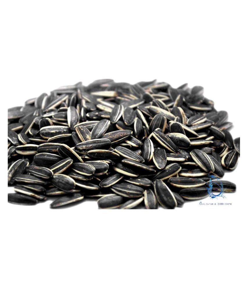Sunflower Seed for Bird Food Striped 450g Buy Sunflower Seed for Bird
