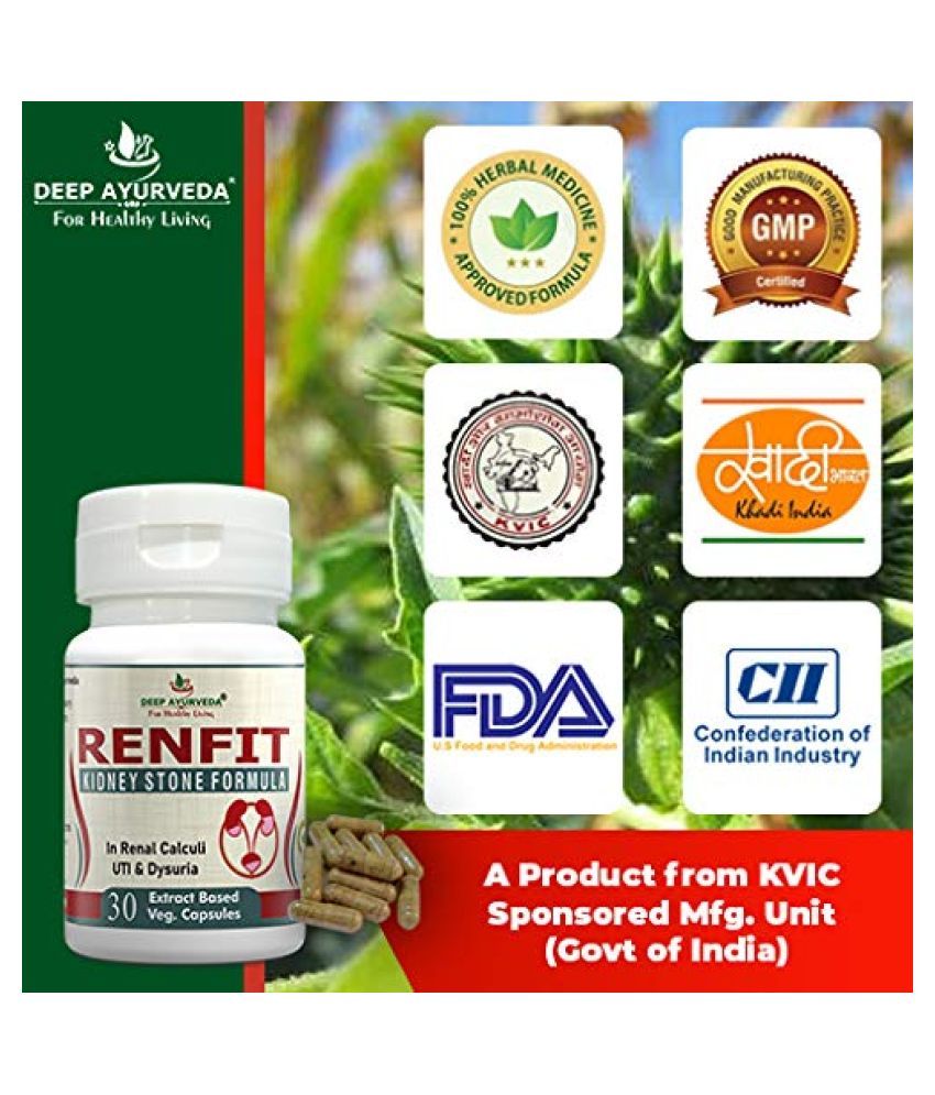DEEP AYURVEDA INDIA RENFIT KIDNEY STONE CARE Capsule 500 mg Pack Of