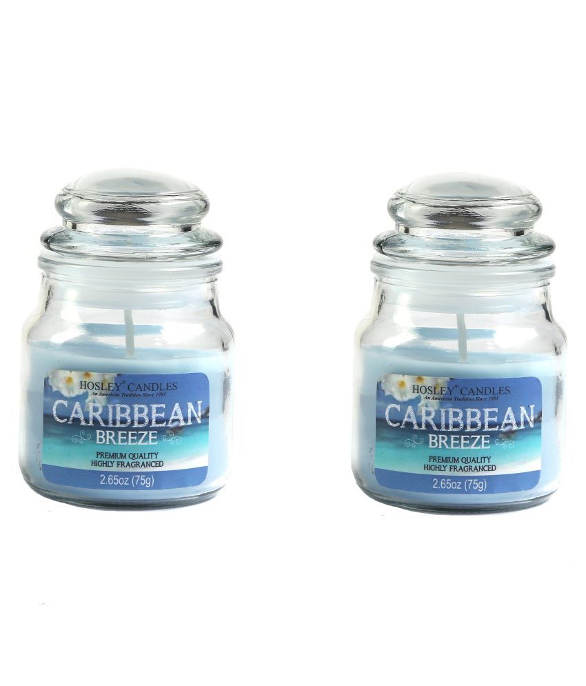     			Hosley Blue Jar Candle - Pack of 2