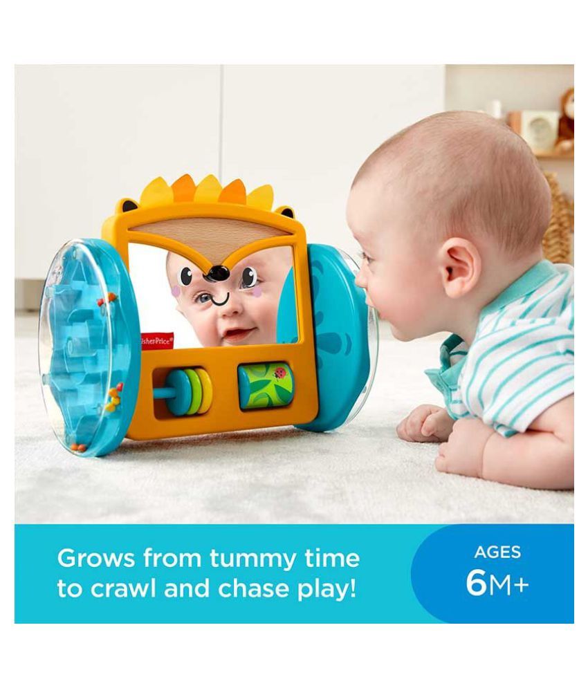 fisher price hedgehog toy