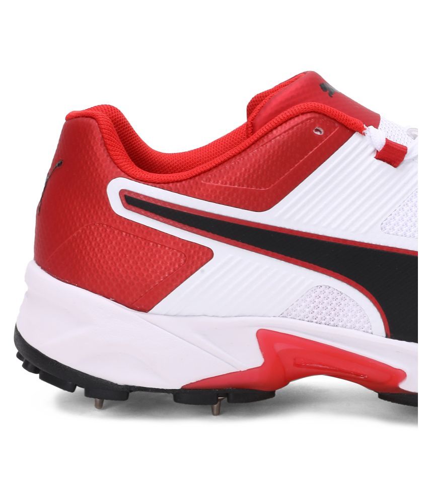 cricket shoes buy online