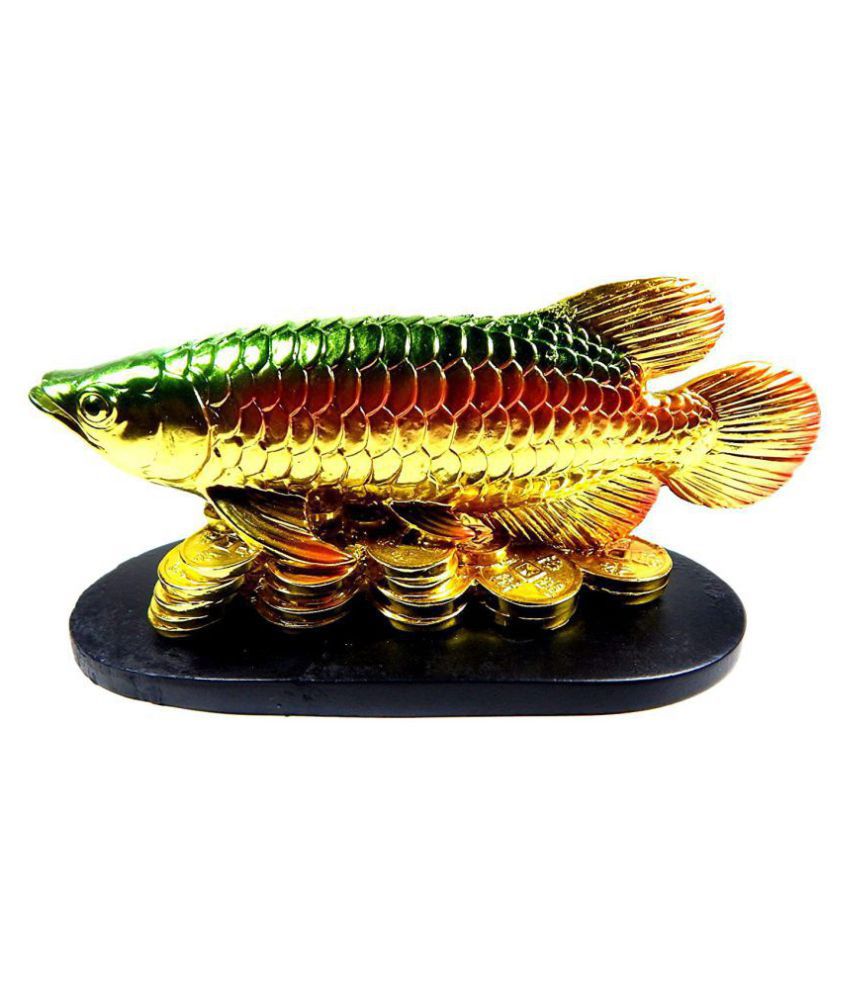 Golden Dragon Fish Price