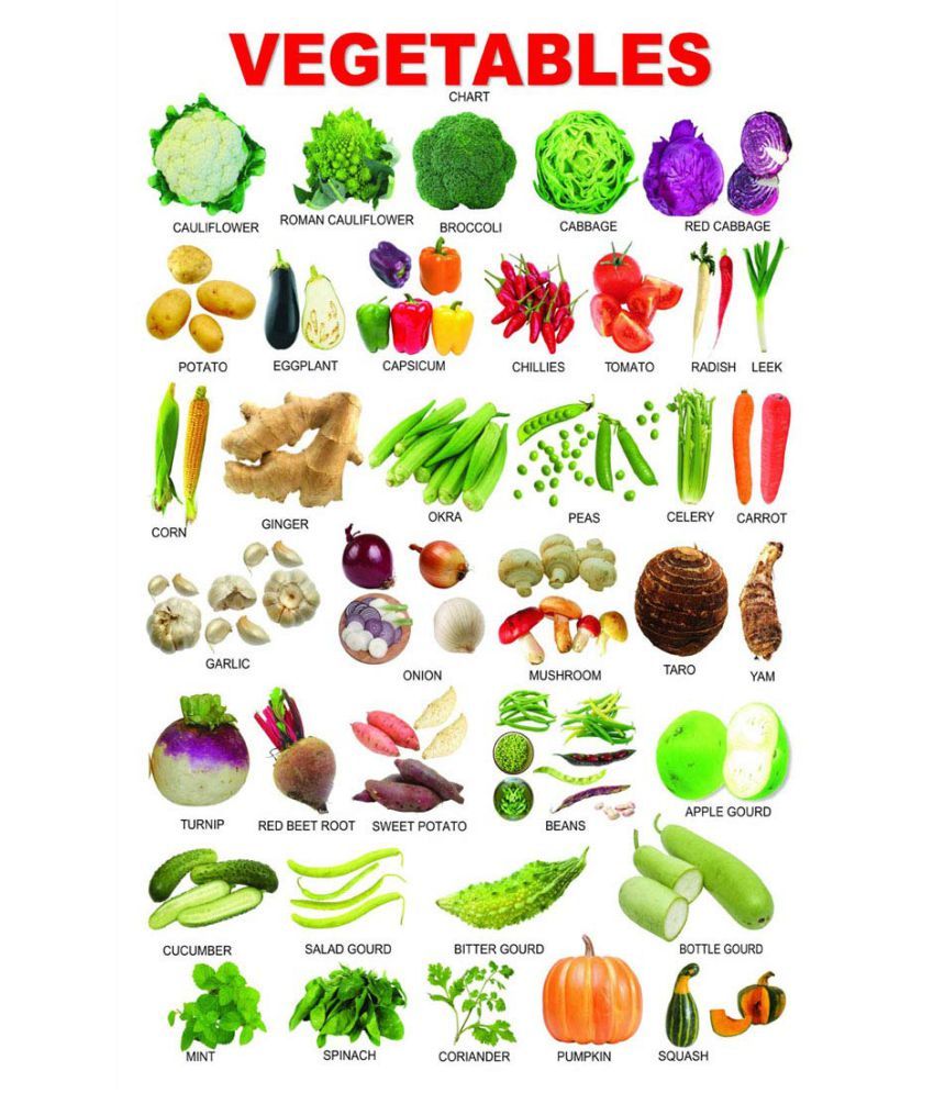 Surmul Vegetables Names Learning Chart Sticker For Kids Alphabet 