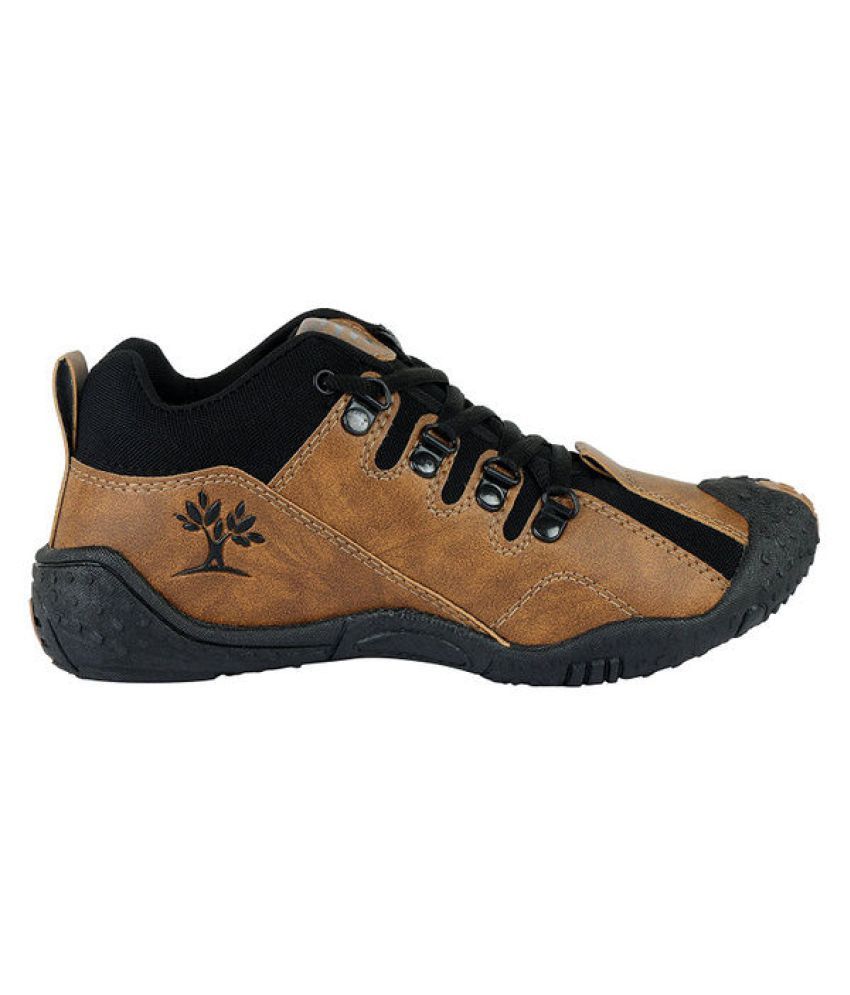 chevit shoes company wiki