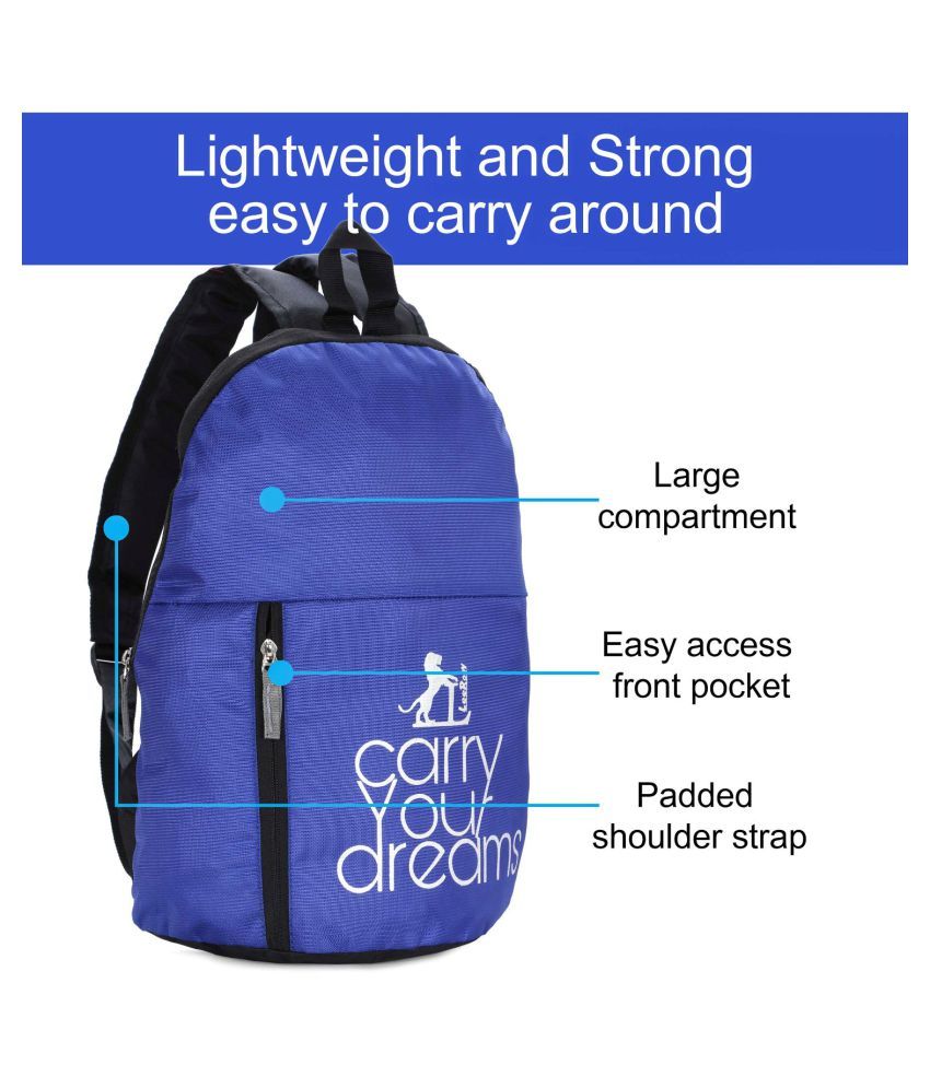 small bluey backpack