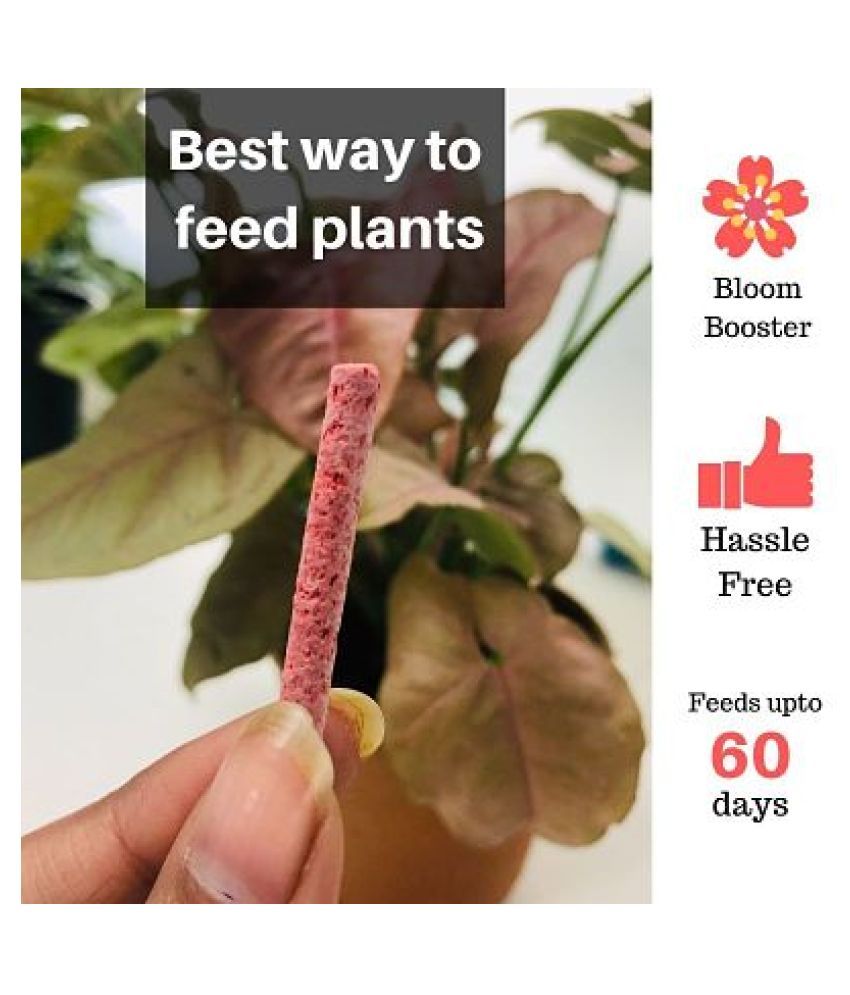 Lazy Gardener Plant Food Sticks Beginner Pack 2 Lazy Gardener Plant Food Sticks Beginner Pack 2