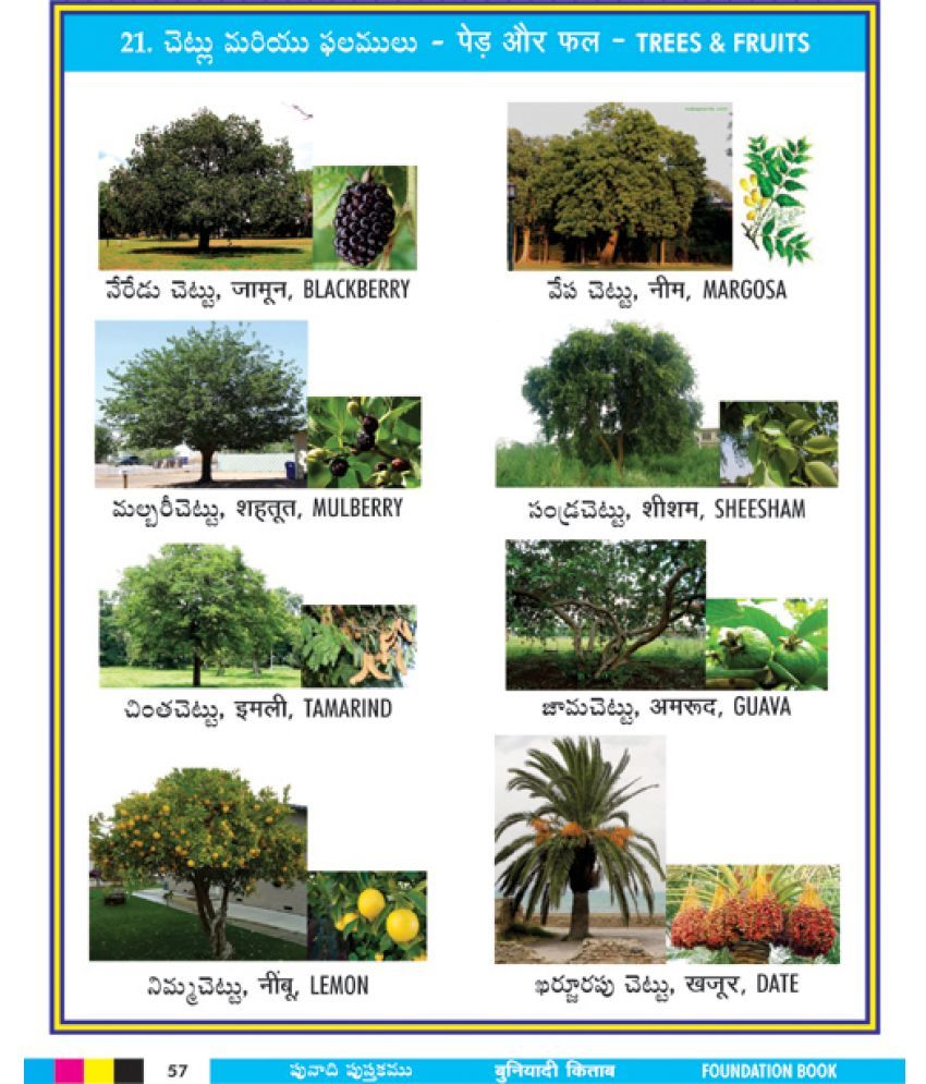 Foundation Book Telugu, Hindi and English Languages for Children