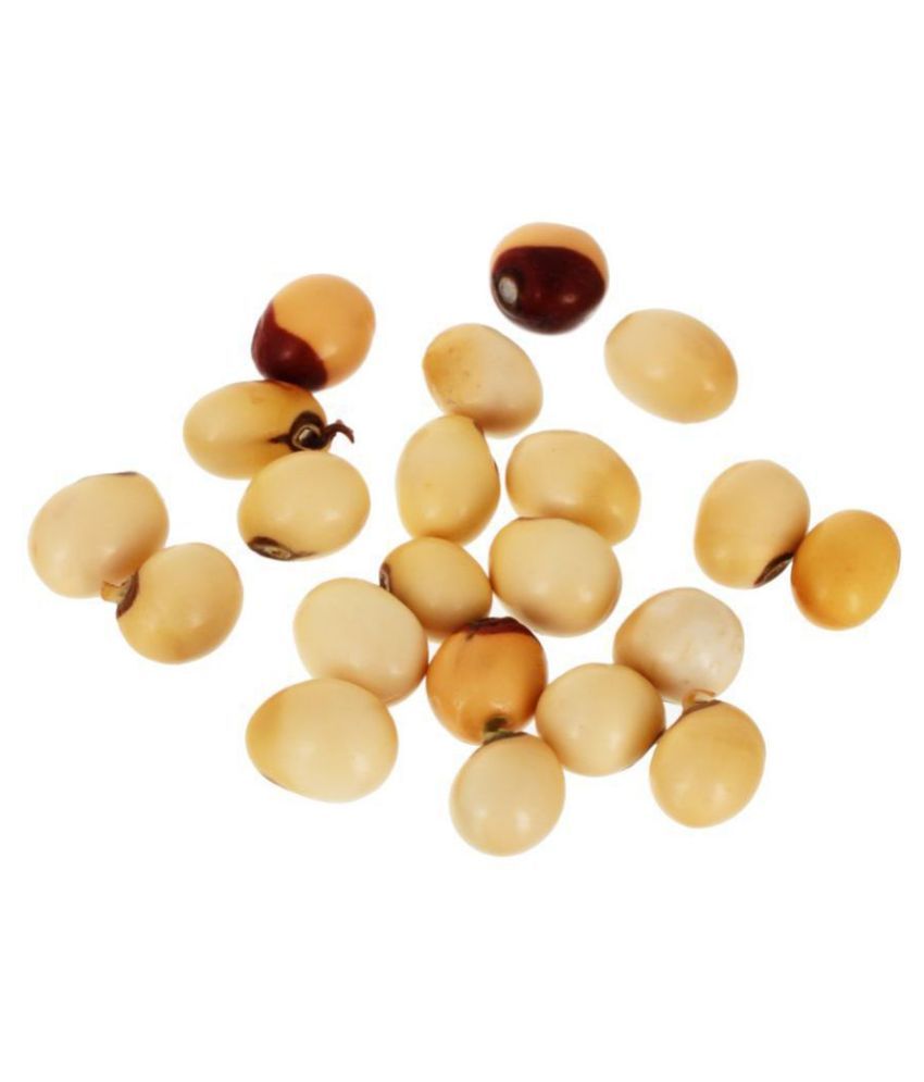     			Kesar Zems Wooden 21-Beads Abrus Precatorius Seed (5 cm x 2.5 cm x 0.05 cm, Brown, Pack of 21)