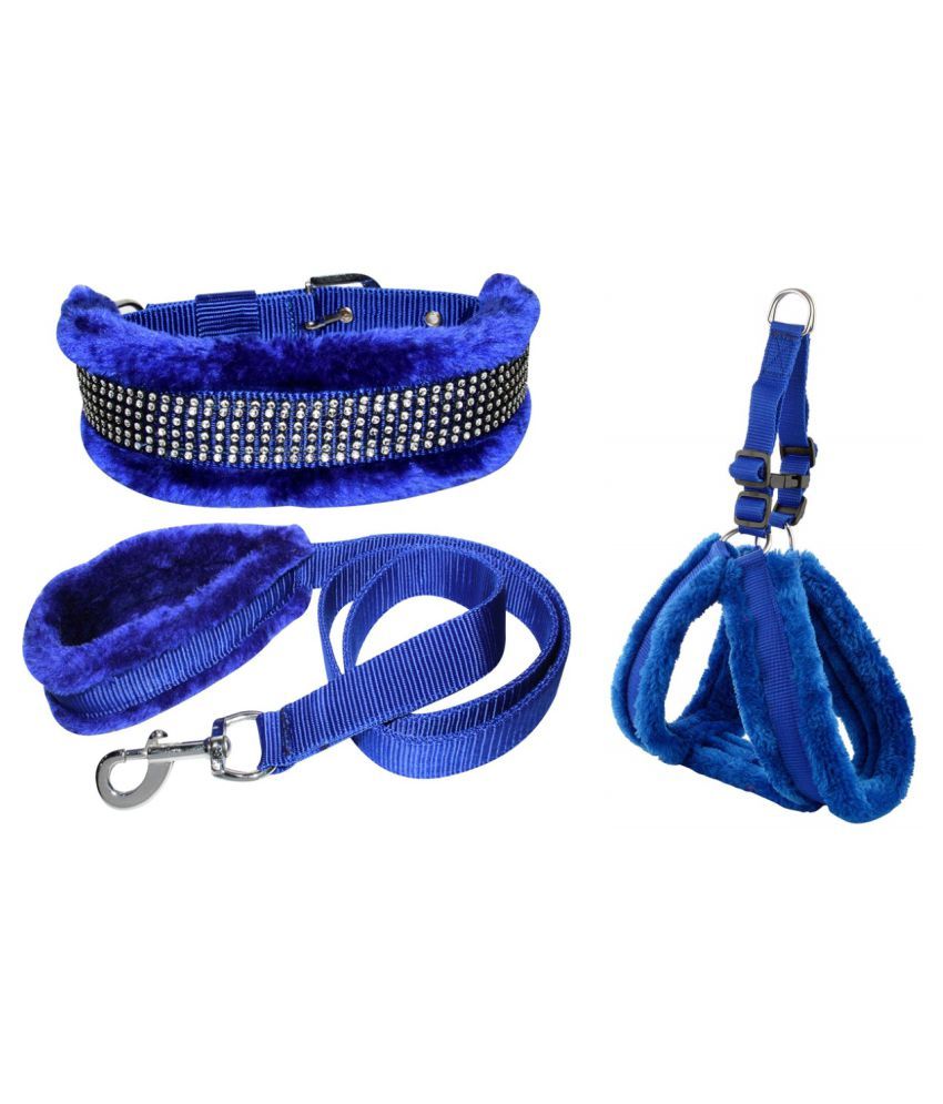 dog leash online