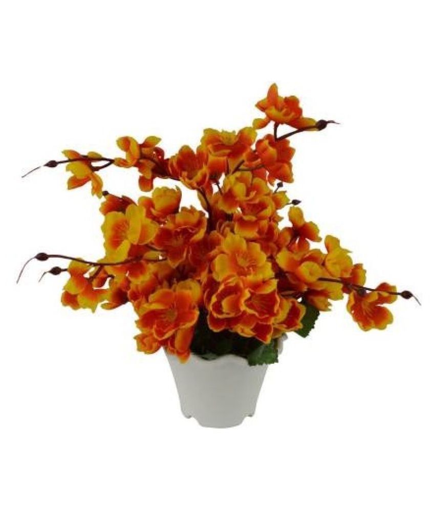     			Green plant indoor Orchids Orange Flowers With Pot - Pack of 1