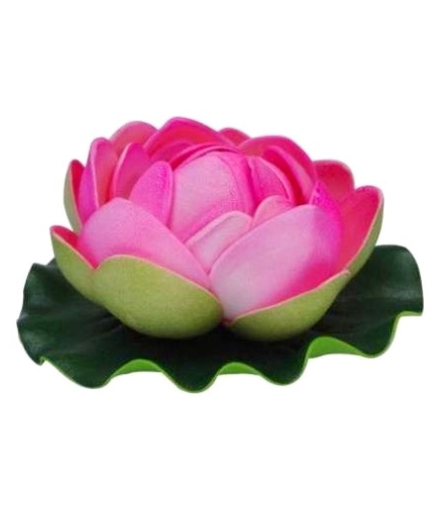     			Green plant indoor Lotus Multicolour Floating Flowers - Pack of 1