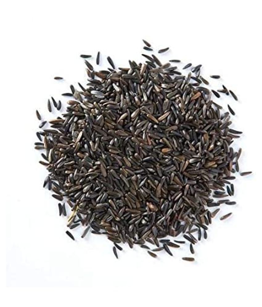     			Nutrixia Food Niger Seed/रामतिल/Ramtil/Bird Food Raw Herbs 100 gm Pack Of 1