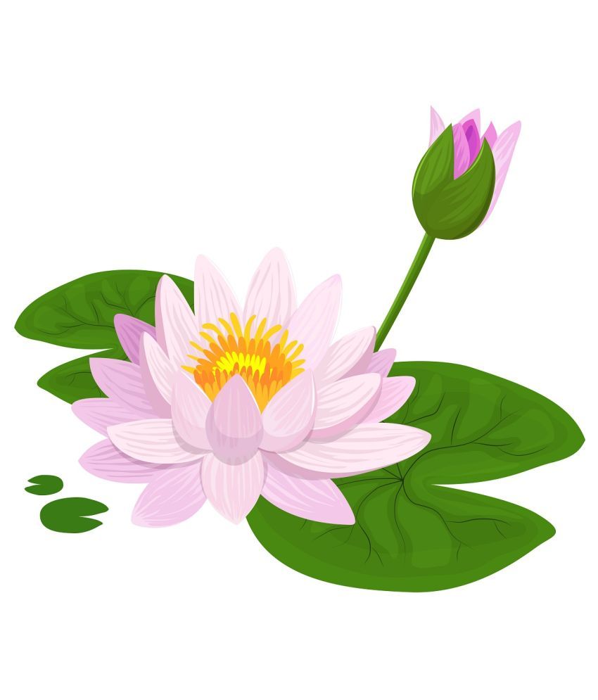     			Wallzone Lotus Sticker ( 50 x 40 cms )