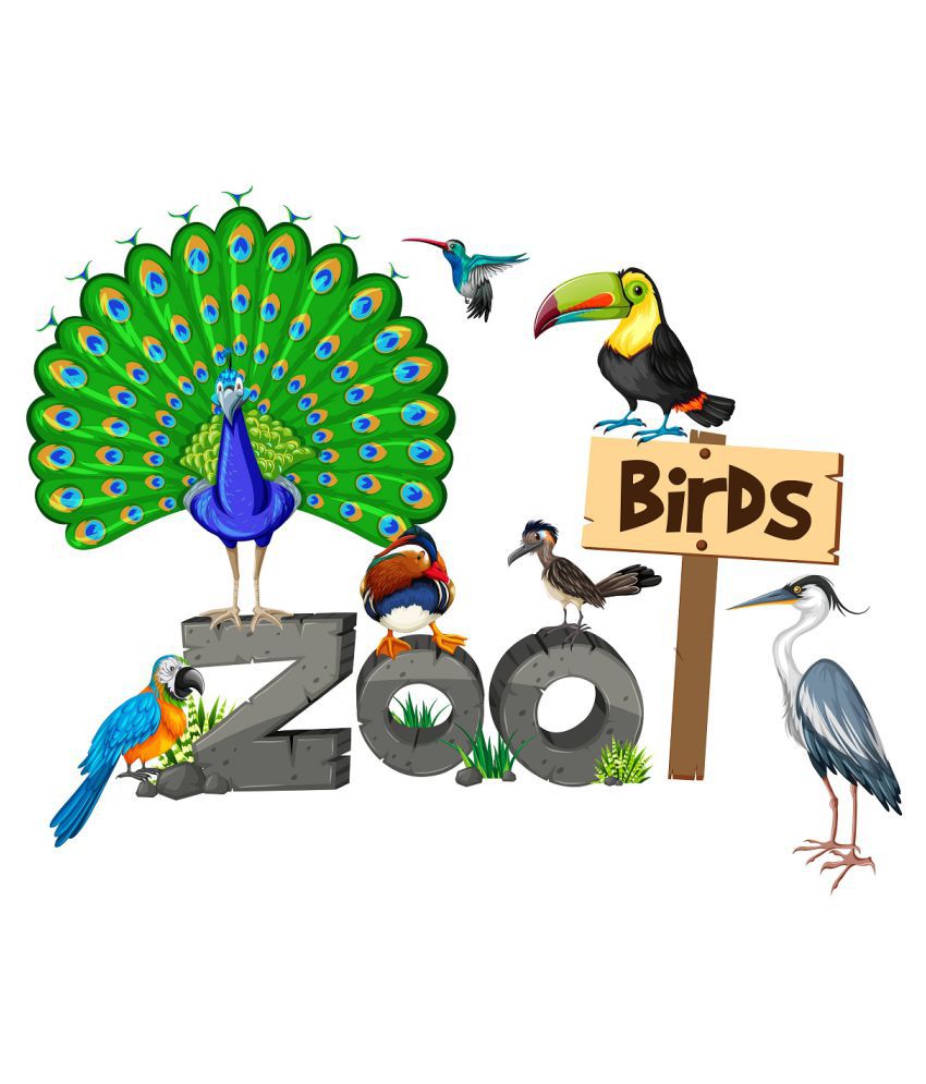     			Wallzone Zoo Birds Sticker ( 70 x 60 cms )