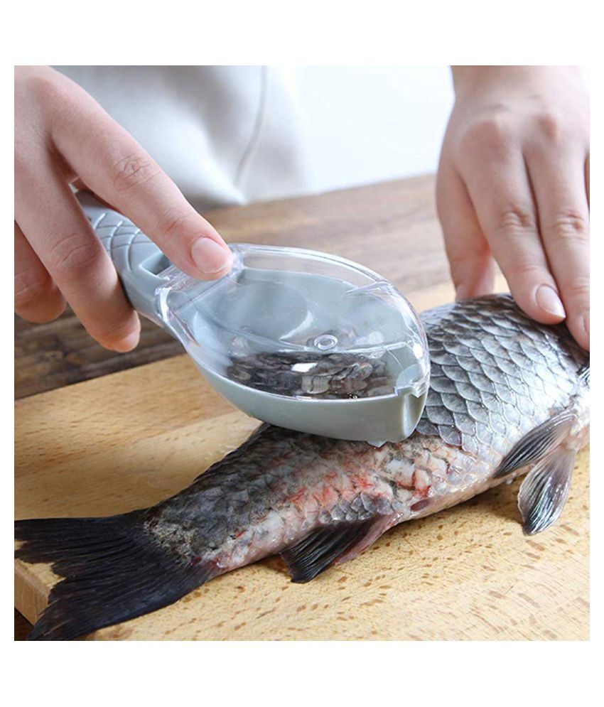     			Fish Scale Scraper,Fish Scaler Sawtooth Scale Descaler Scraper Cleaner Fish Scales Brush Shaver Remover Scale Knife Peeler Skin Peeler Fish Tools Kitchen