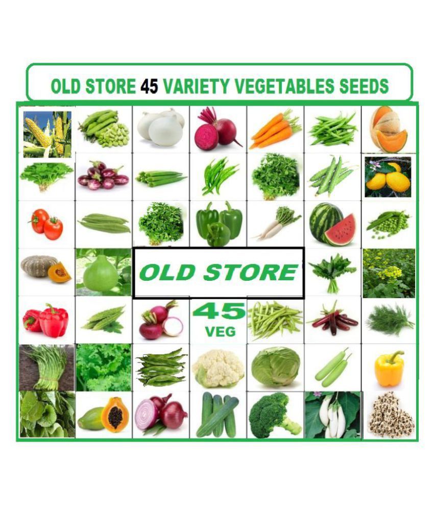     			45 VEGETABLE SEEDS COMBO PACK ( MORE THAN 1000 SEEDS PACK) WITH MANUAL