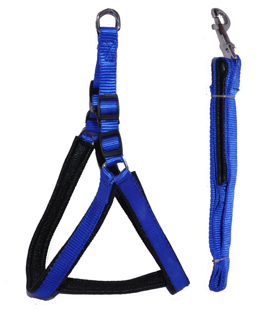     			Petshop7 Dog Nylon Harness and Leash Set Blue with Padding
