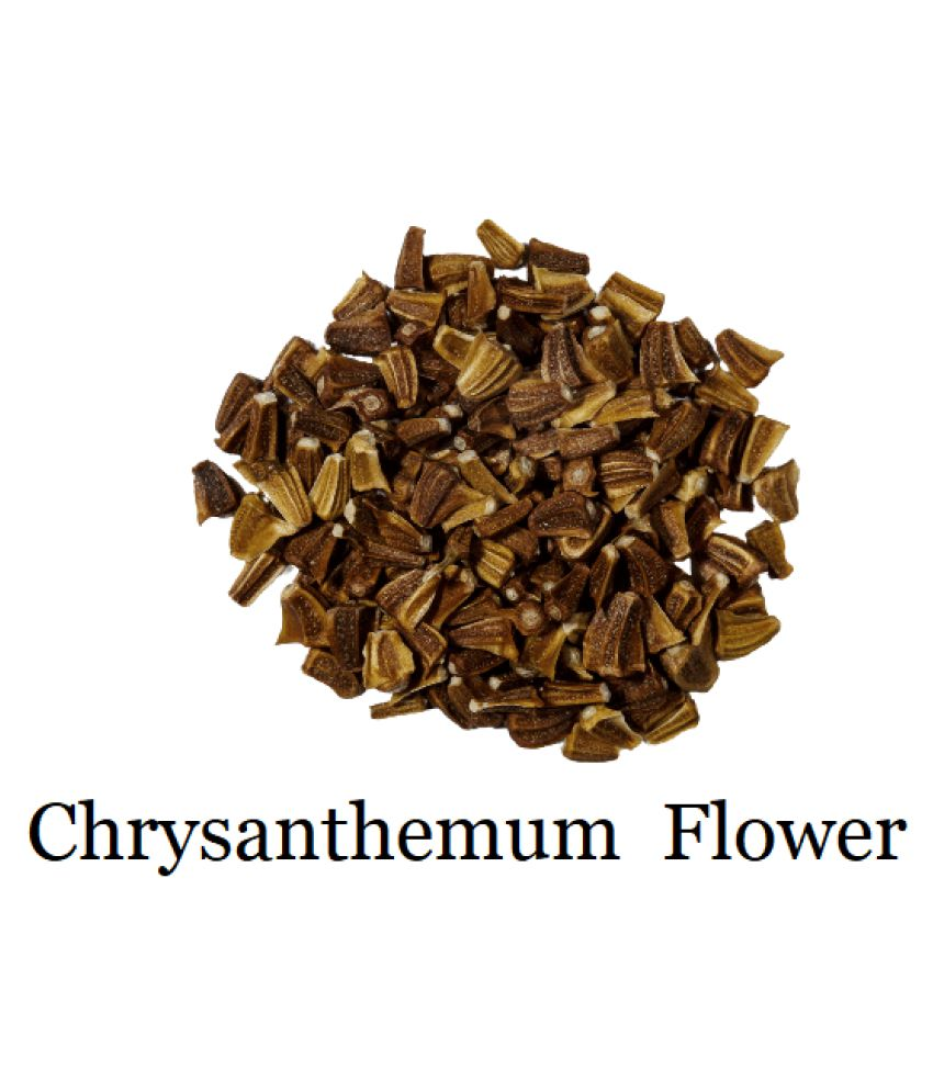 Chrysanthemum Mix Flower Seeds (Multicolour, Pack of 40 seed ) Buy