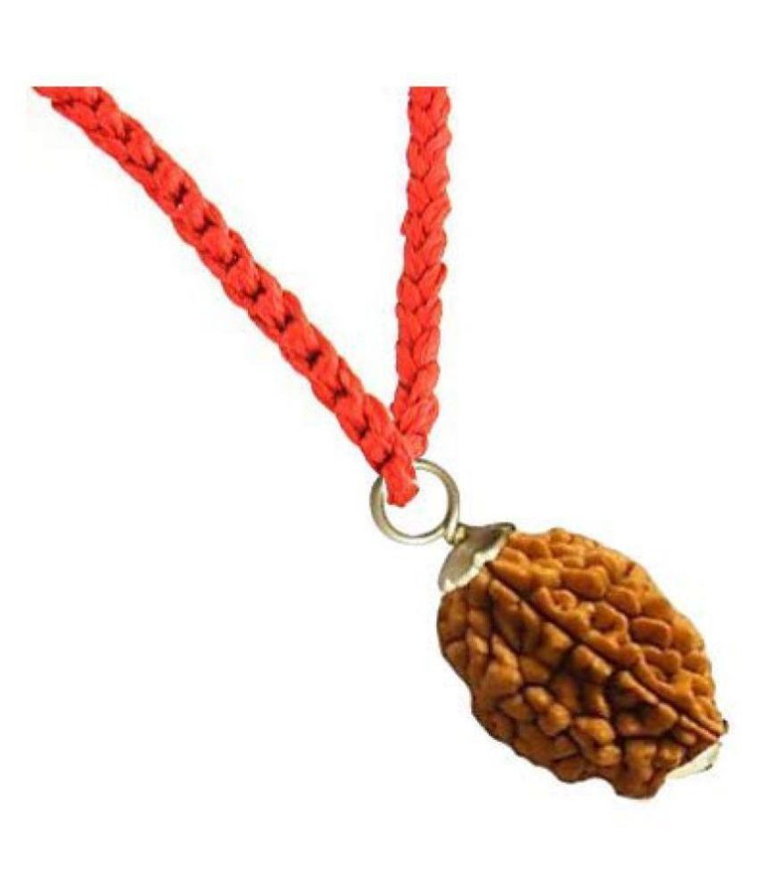     			RUDRA DIVINE Rudraksha Pack of 1