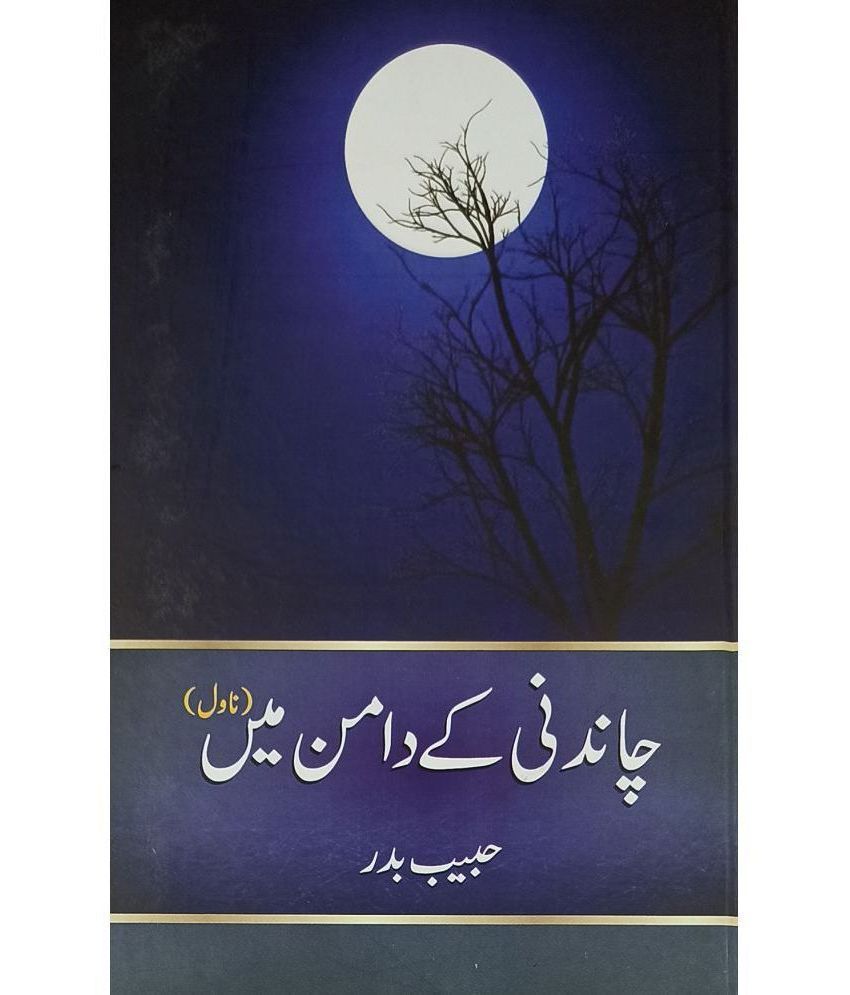     			Chandni Ke Daman Main Urdu Novel