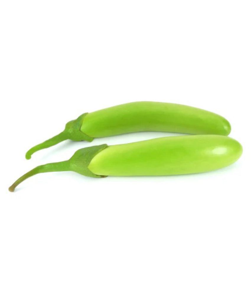     			Brinjal F1 Hybrid Green Long - Vegetable Seeds