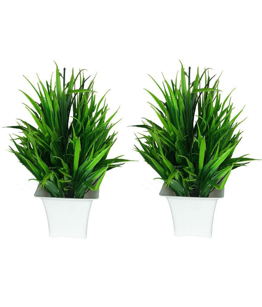     			CHAUDHARY FLOWER Wild Flower Green Flowers With Pot - Pack of 2