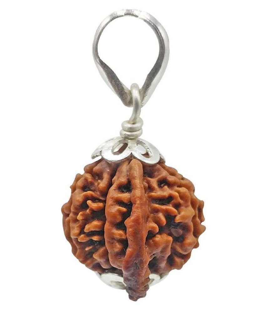     			rudradivine Rudraksha Pack of 1