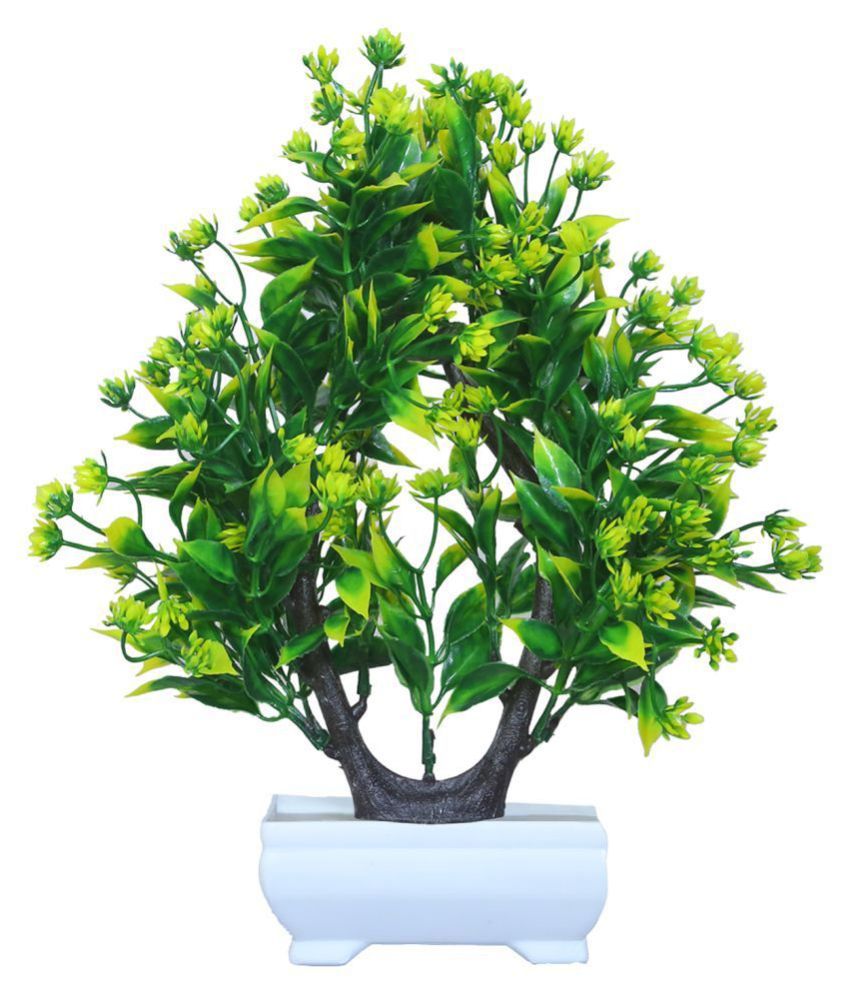     			MODO Artificial Plant With Plastic Pot  Green Bonsai Plastic - Pack of 1