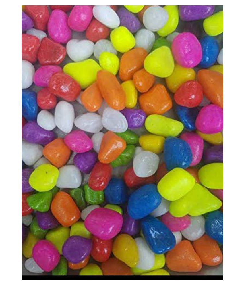     			Somil Multicolor Pabbles/Stone For Garden, Plants, Aquarium & Home Decor Wt. 450g