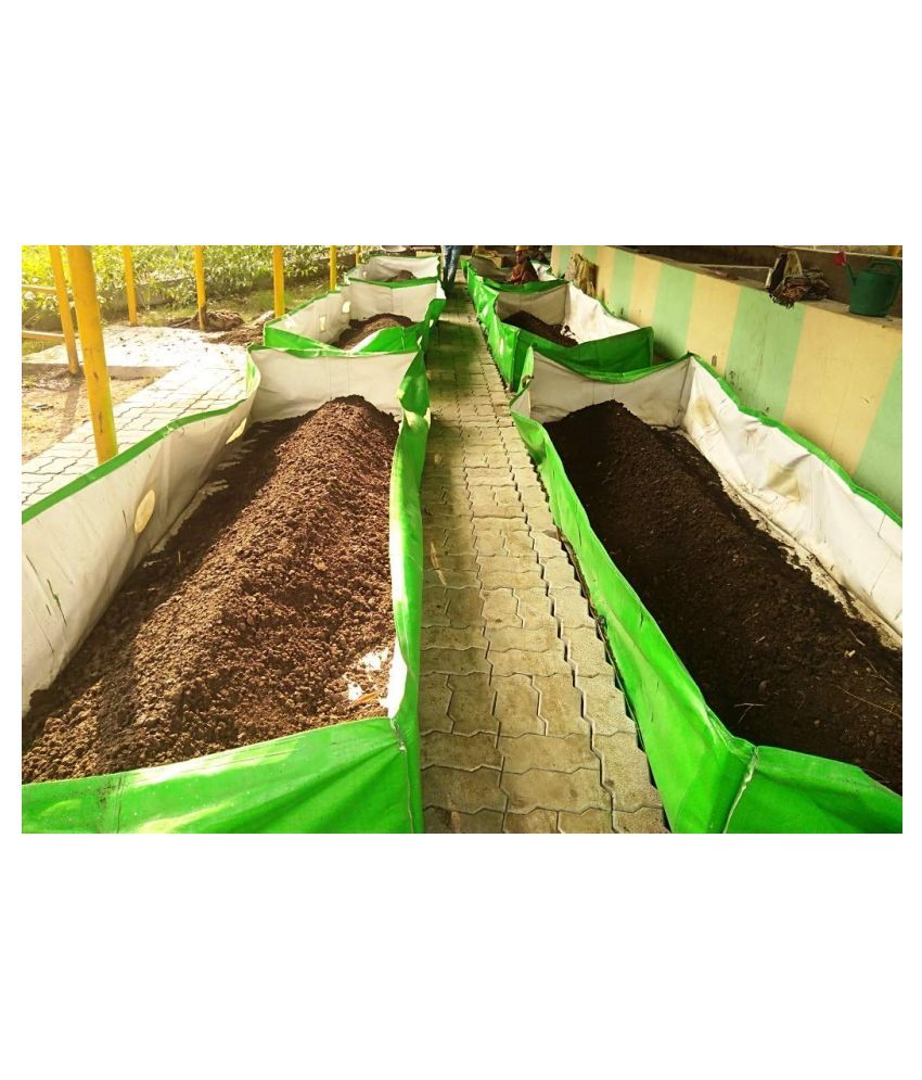 FOR PLANT AND SEEDS Buy FOR PLANT AND SEEDS