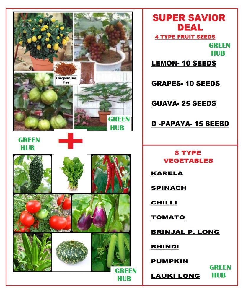     			SUPER SAVIOR DEAL 4 TYPE FRUIT SEEDS COMBO WITH 8 TYPE VEGETABLE SEEDS COMBO PACK FOR HOME GARDENING PURPOSE COCO PEAT FREE FOR FRUIT SEEDS WITH USER MANUAL