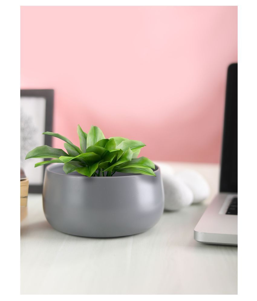 Homspurts Matte Grey  Metal Flower Pot for Centre Table | Living Room | Dining Table