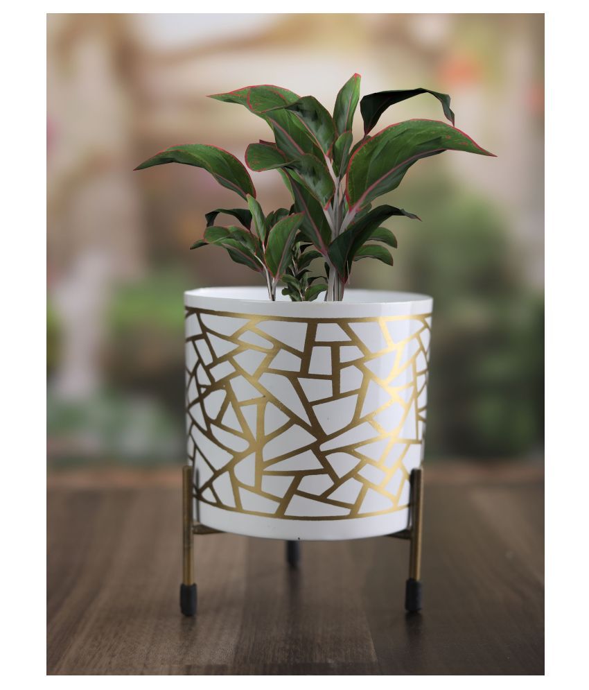 Homspurts Gold and White Cylindical Table Top Planter