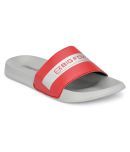 Big Fox Red Slides