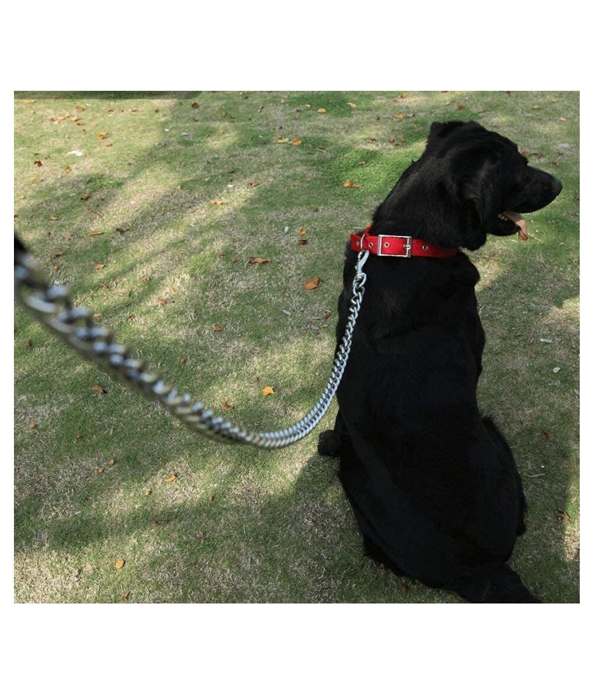     			Dog Belt Combo of  Dog Collar Belt with Dog Chain Specially for all Dogs  Lengthy Dog Collar & Chain  (color may vary)