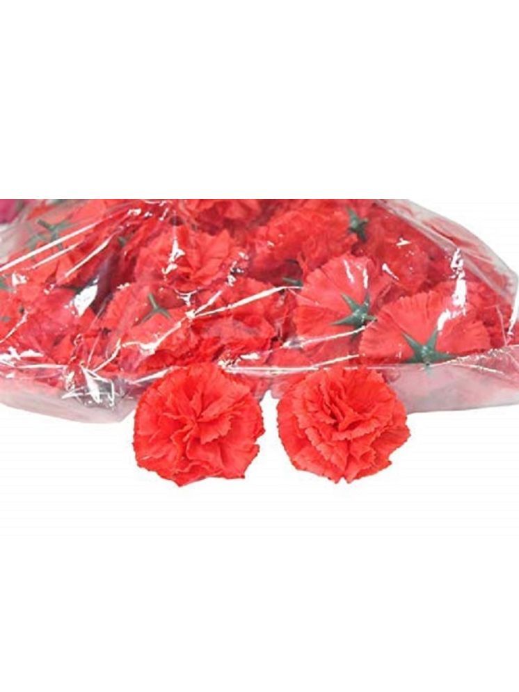     			Green plant indoor - Red Carnations Artificial Flower ( Pack of 13 & More )