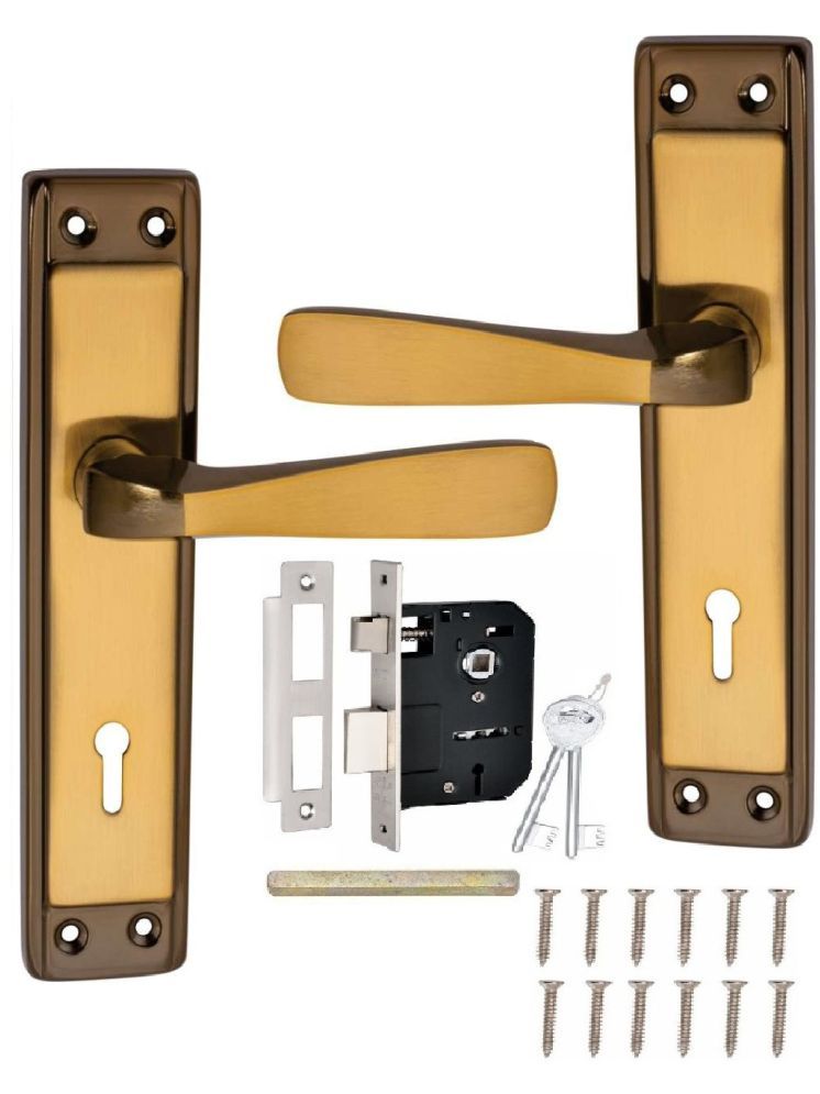     			ProHard square gold mortice lock handle