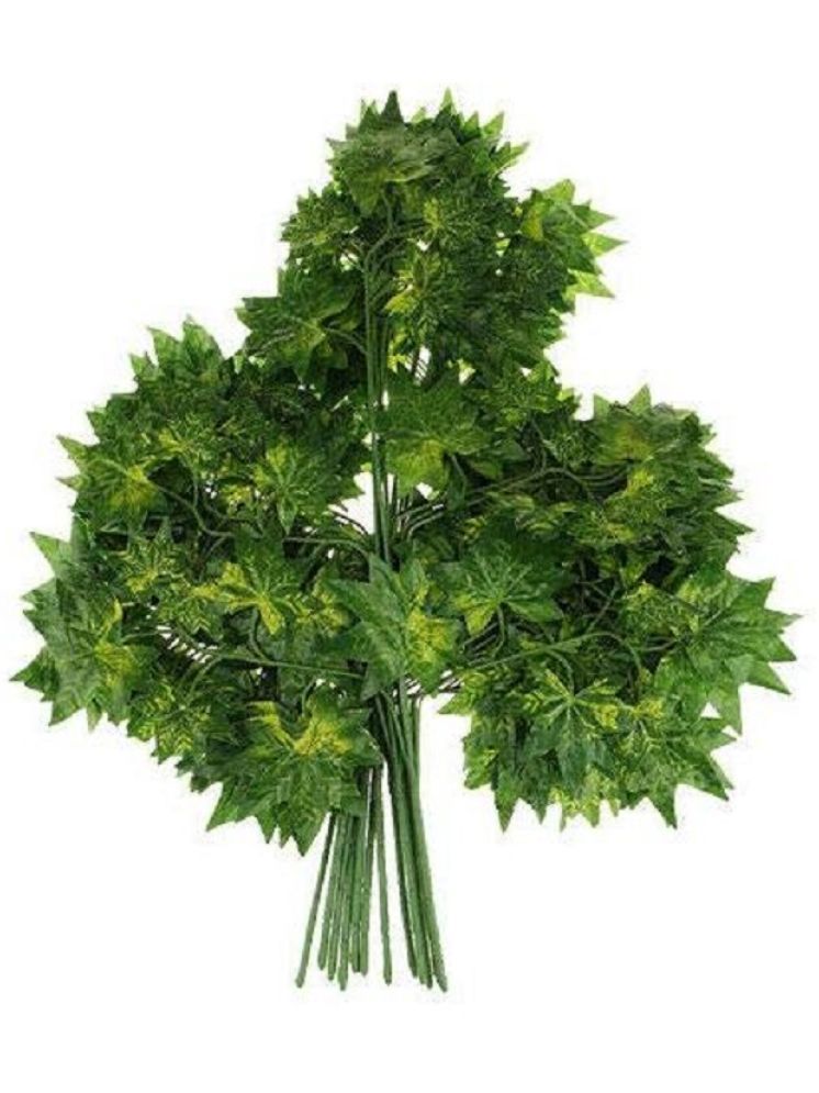     			Green plant indoor - Green Maple Artificial Plants Bunch ( Pack of 12 )