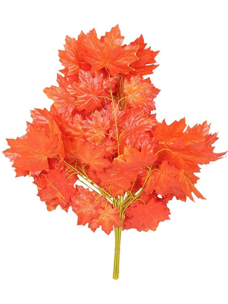     			Green plant indoor - Orange Maple Artificial Plants Bunch ( Pack of 12 )